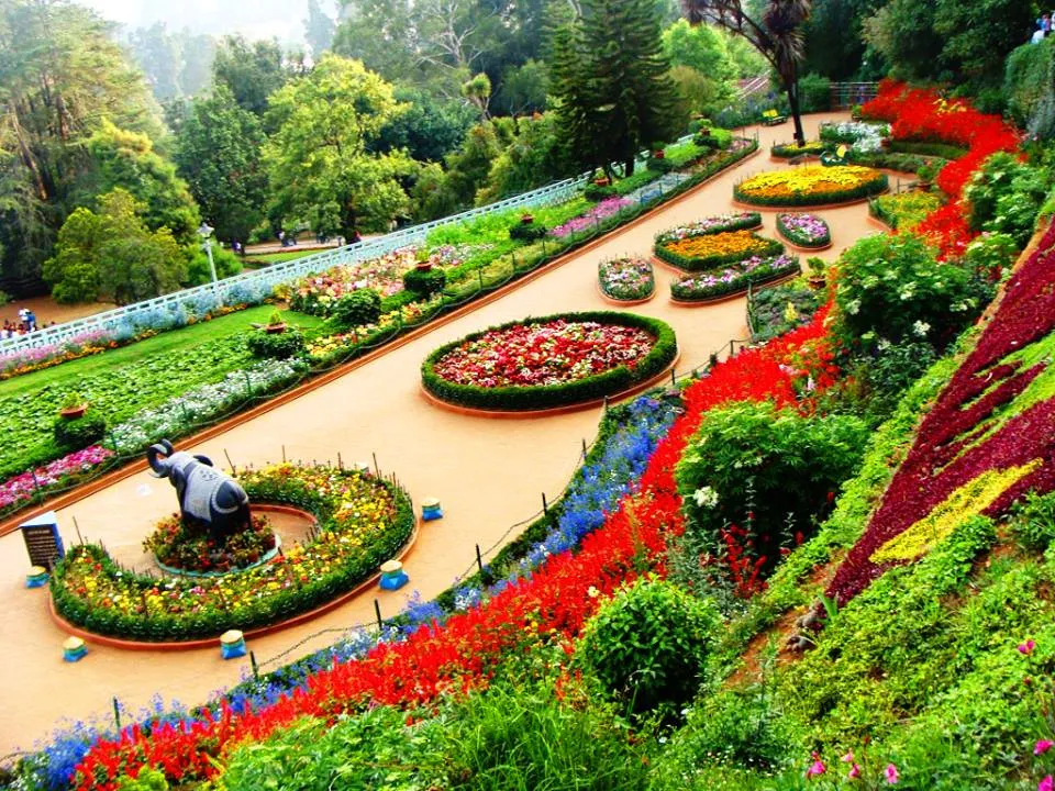 Ooty Same Day Tour from Coimbatore | One Day Ooty Sightseeing Trip Gallery